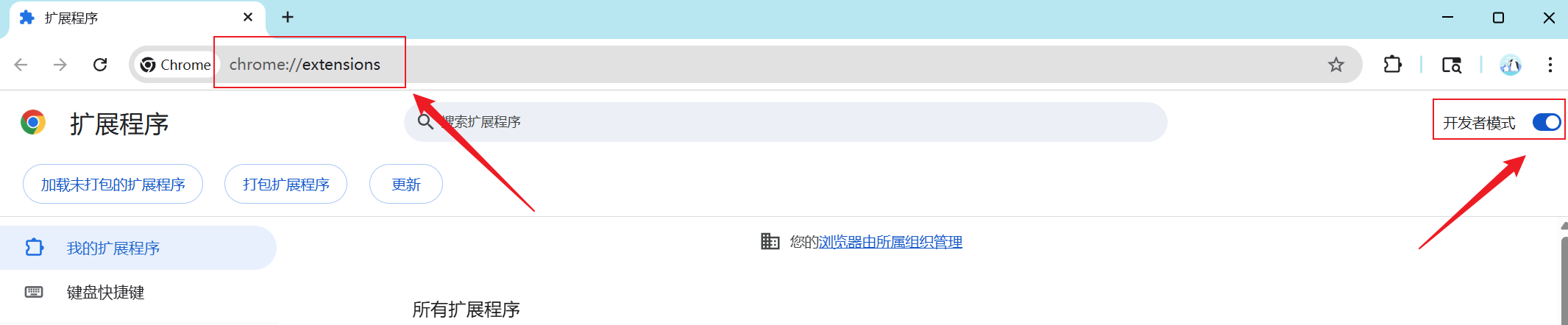 打开扩展程序页面并开启开发者模式